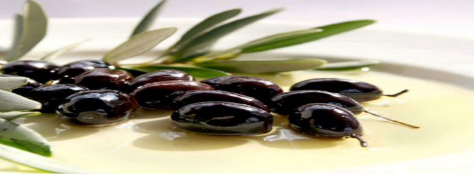 Καλωσήλθατε στην εταιρεία Mantziolive Hellas Μονοπρόσωπη Ι.Κ.Ε.